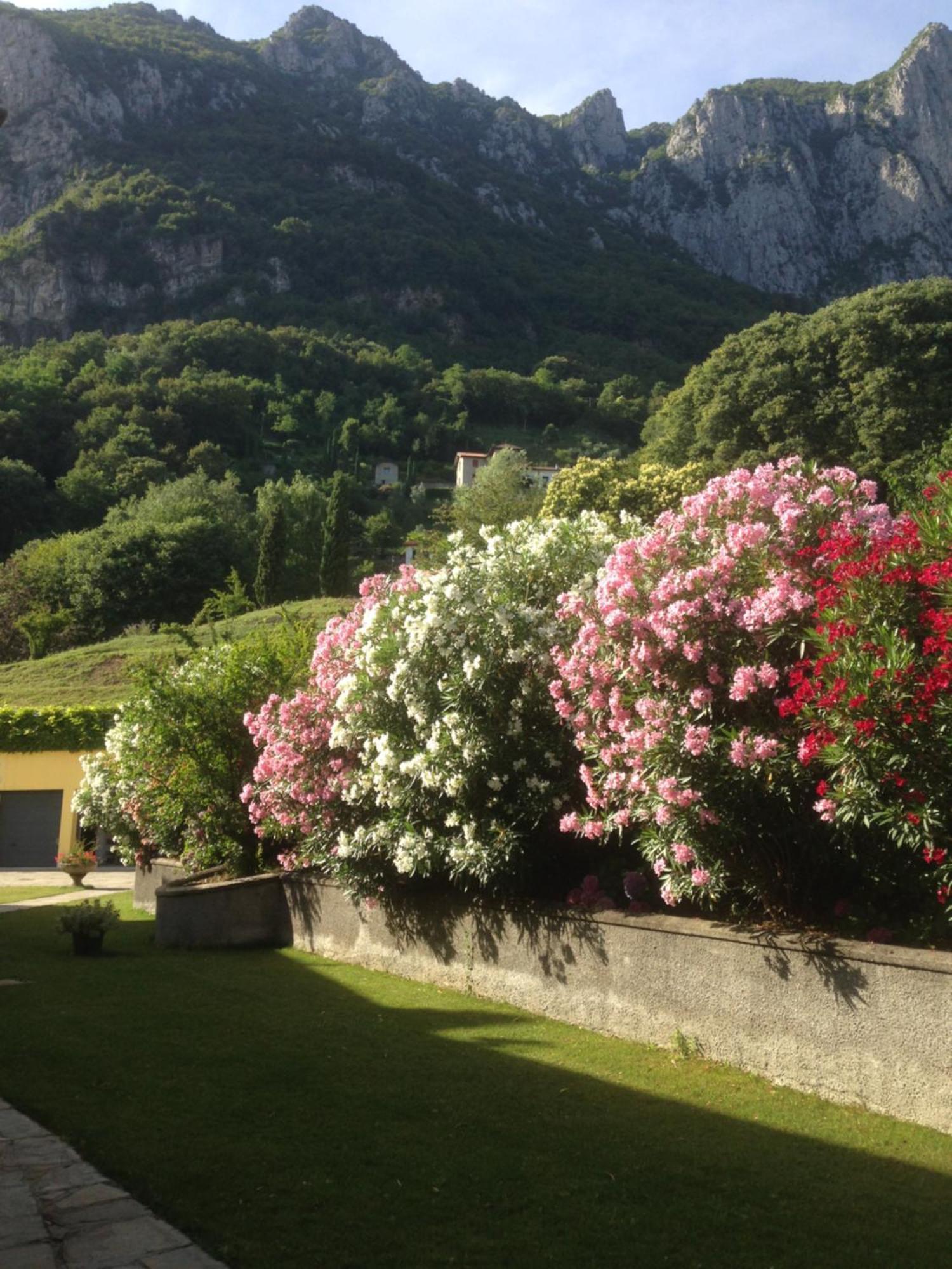 Montebello Lake Lecco Eksteriør billede